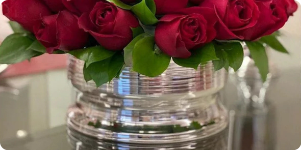 Caca SaadiDescries 12png