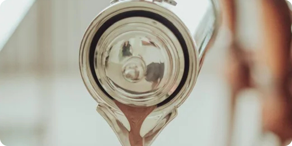 Caca SaadiDescries 17png