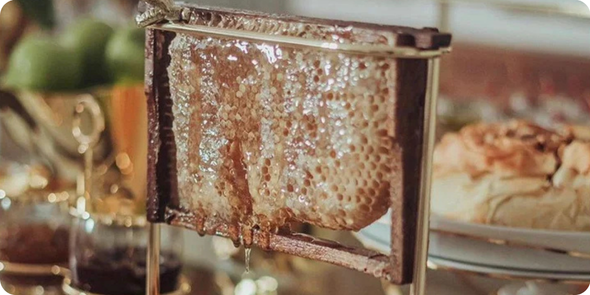 Caca SaadiDescries 22png