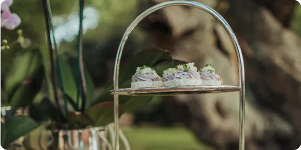 Caca SaadiDescries 38png