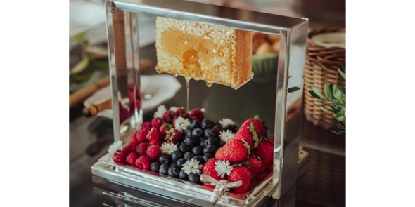 Caca SaadiDescries 48png