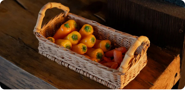 Caca SaadiDescries 5png