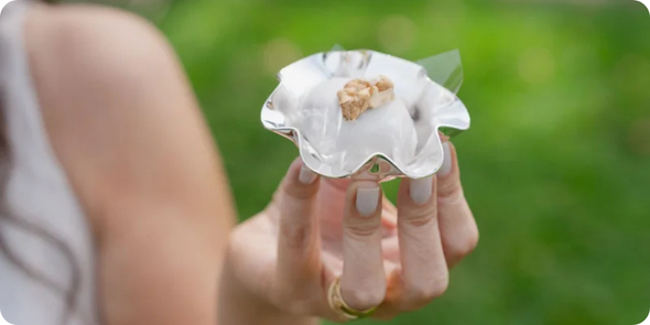 Caca SaadiDescries 27png