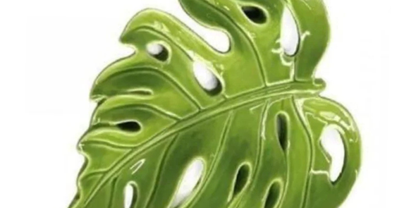 Caca SaadiDescries 17png