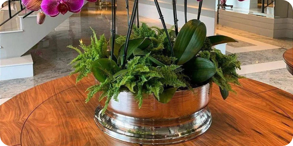 caca saadi w descricoes 18