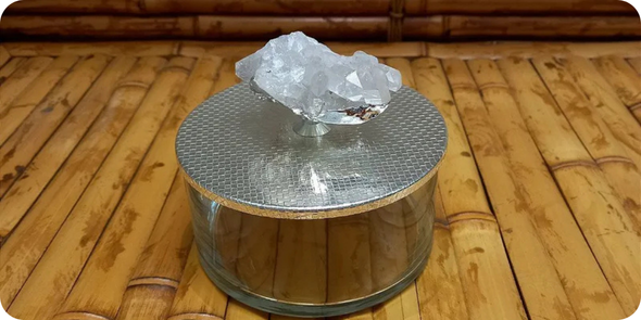 Caca SaadiDescries   2025 10 31T173958839png