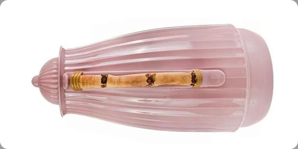 caca saadi j descricoes 67